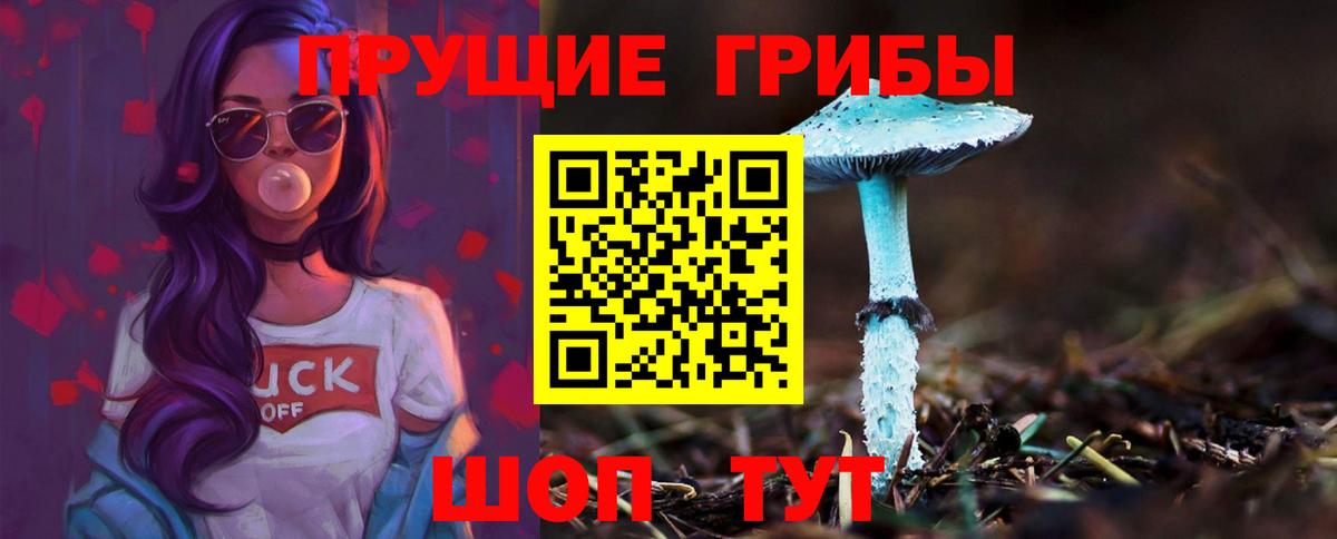 Галлюциногенные грибы Psilocybine cubensis  Вход с VPN  Курск 